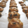 Pumpkin Chocolate Chip Cookies + some updates
